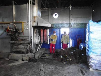 Destruyen 96.000 plantas que llegaron con plagas