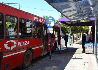 Colectivos: el 26 de junio se abren las ofertas