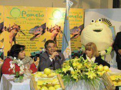 Lanzan este martes la edici�n 32� de la Fiesta del Pomelo