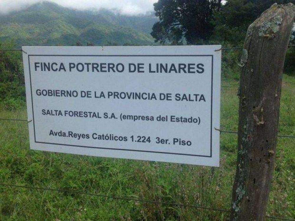 Salta Forestal maneja tierras sin normas que la autoricen