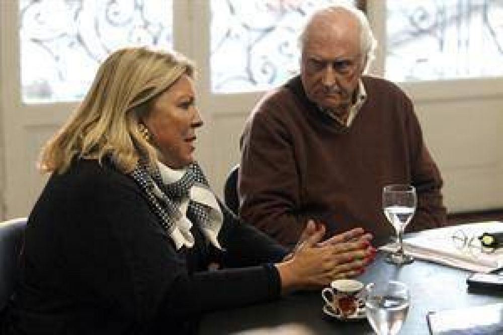 Carri� y Solanas presentaron otro amparo para suspender elecciones en la Magistratura