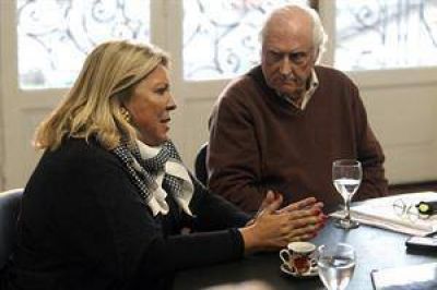 Carri� y Solanas presentaron otro amparo para suspender elecciones en la Magistratura