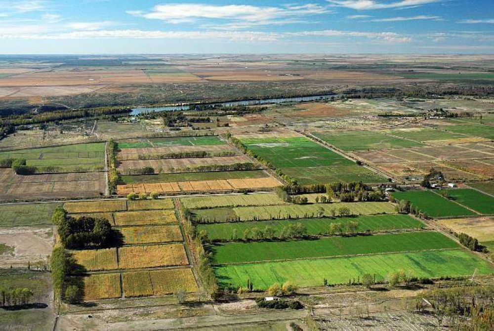 Eval�an cultivos no tradicionales en el Idevi