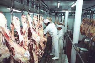 Subsidio de 400 mil pesos a FRIDEVI