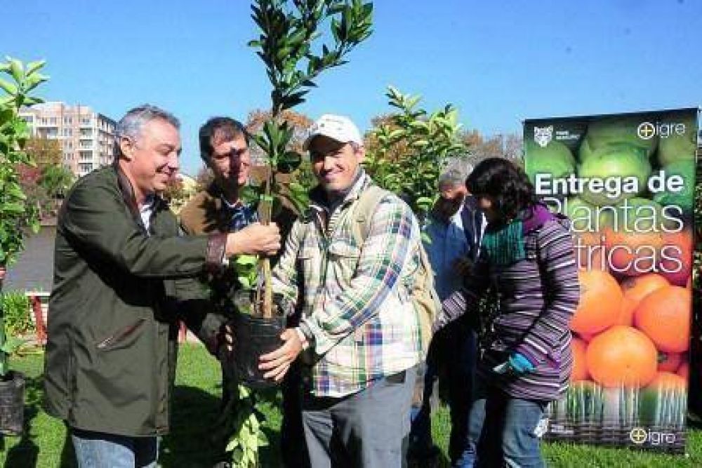 Entregan plantas c�tricas a vecinos del Delt