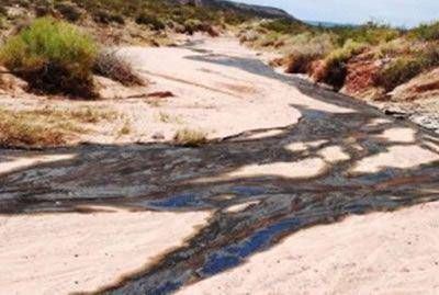 Confirman que explotaci�n de YPF contamina los campos de la meseta