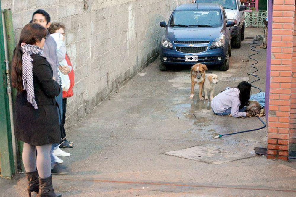 Cuantiosas p�rdidas materiales y dos cachorras familiares muertas en un incendio
