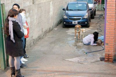 Cuantiosas p�rdidas materiales y dos cachorras familiares muertas en un incendio