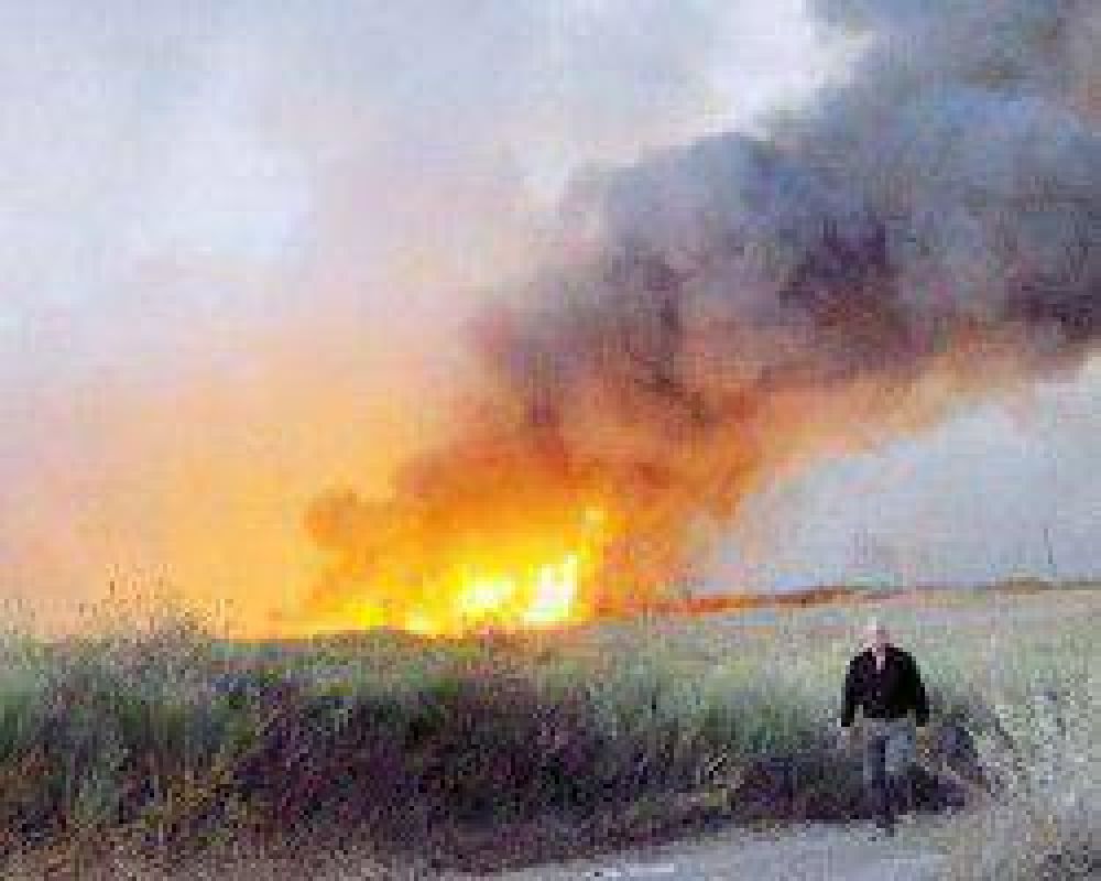 Bomberos trabaj� a destajo para controlar el fuego