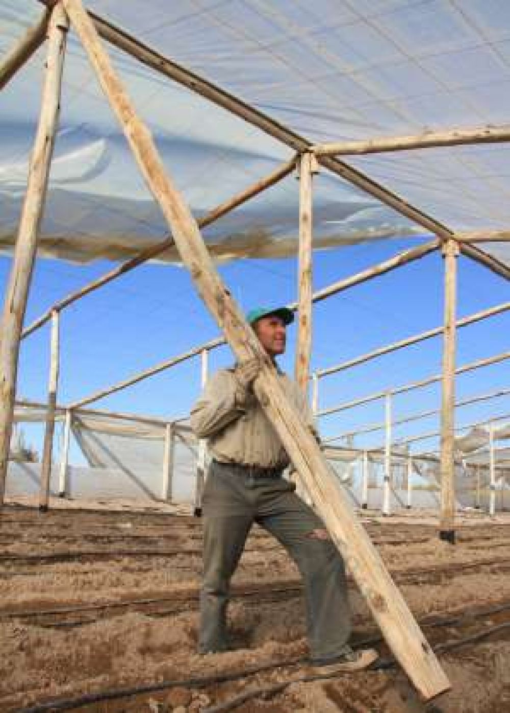 Las chacras fueron lo m�s afectado tras el fuerte viento