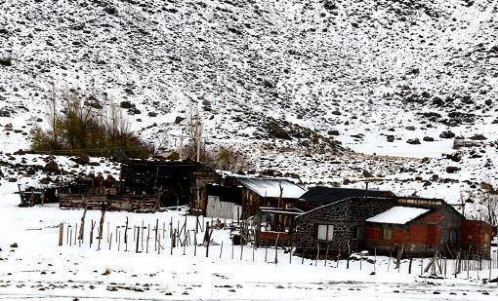 Neuqun declar el alerta mxima y en Chile evacuaran al ganado