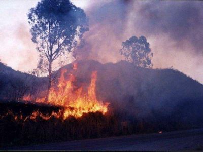 Se adelant� la temporada de incendios forestales
