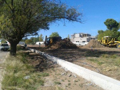 MEDASUR: La C�mara Civil convoc� a una audiencia por el estacionamiento