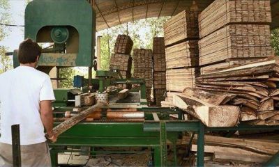 Avance entre San Fernando y el OPDS por la �Ley de Bosques�