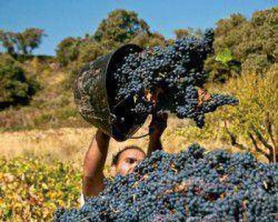 Los productores creen a medias los n�meros del INV