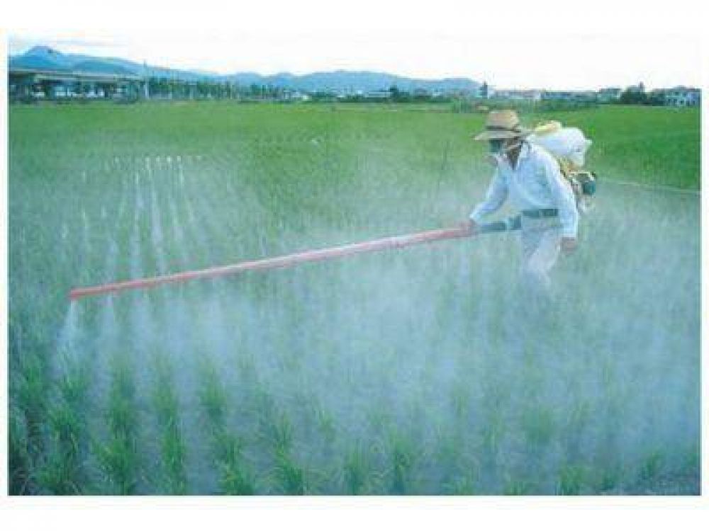 ALERTA CONTRA LA NUEVA REGULACI�N SOBRE EL USO DE AGROQU�MICOS