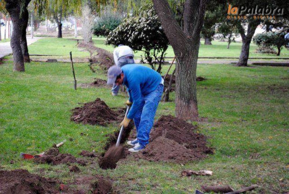 Colocaci�n de luminarias en la plaza del Barrio Eva Per�n