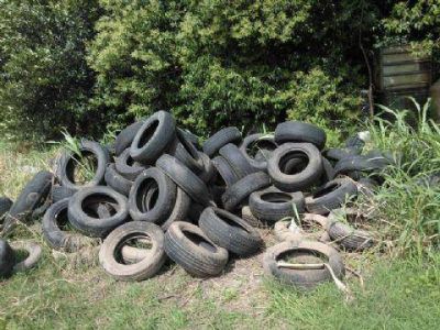 Saneamiento Ambiental entrega inhibidor de larvas para piletas