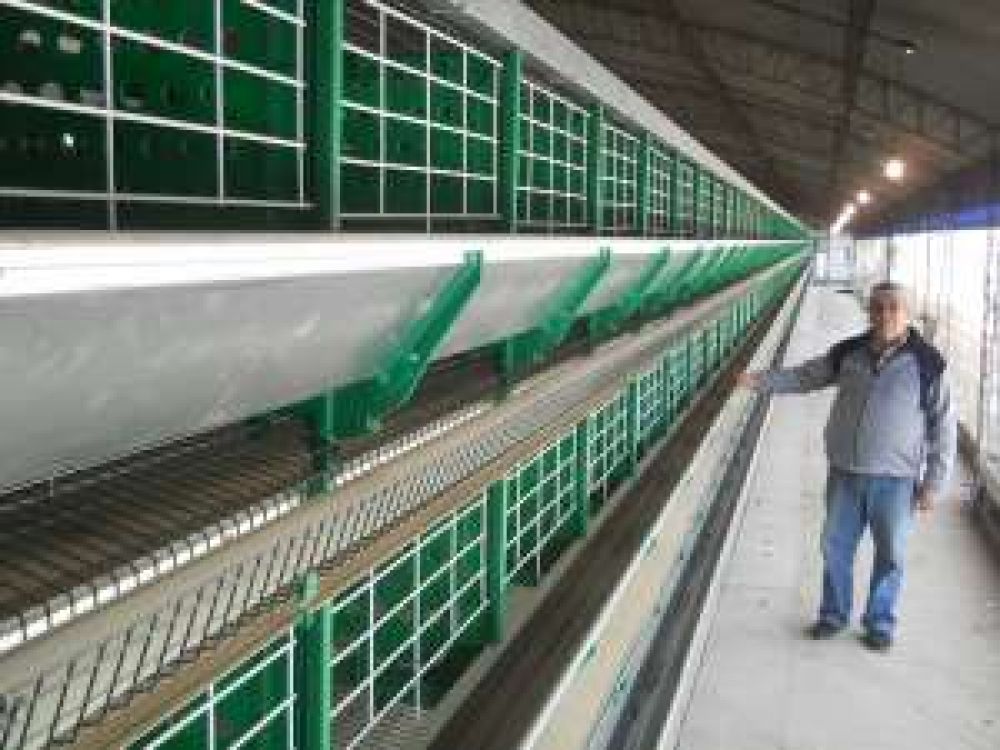 Nuevas inversiones en el sector av�cola sanjuanino