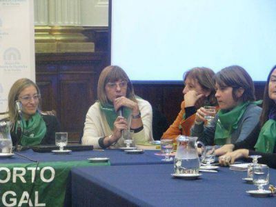 Se realiz� una Audiencia P�blica en Diputados por el aborto legal