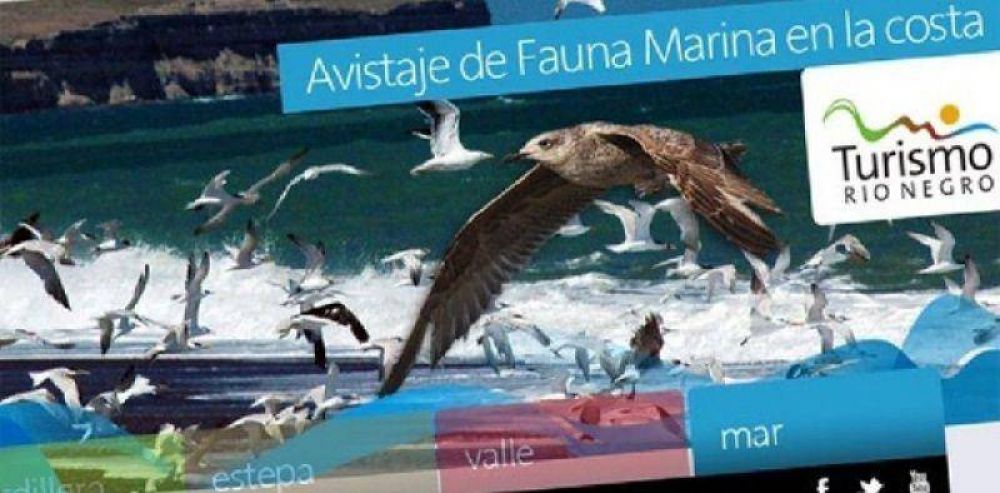 Presentaron el nuevo sitio en la web
