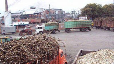  La Compa��a Azucarera Los Balcanes se present� en concurso