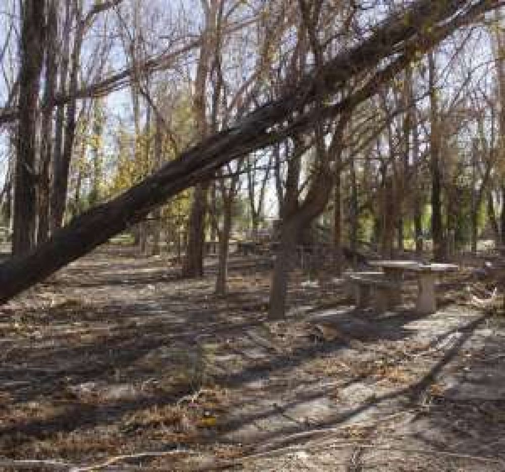 Preocupaci�n vecinal por un camping abandonado