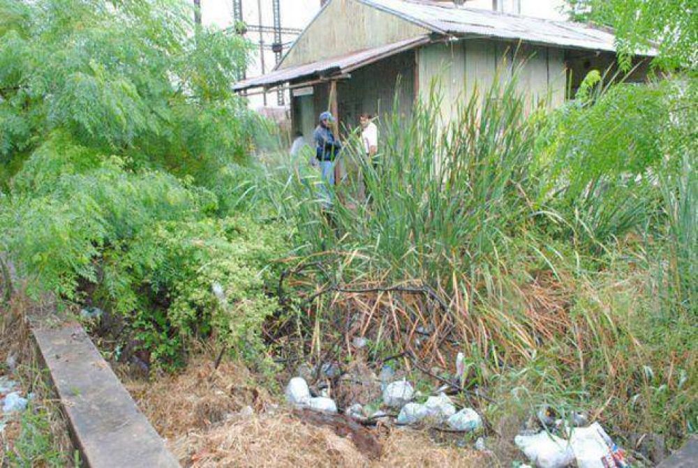 S�enz Pe�a ya lleg� a los 60 casos confirmados de dengue