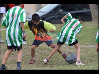 Comenzaron los festejos por el Bicentenario de Paran�