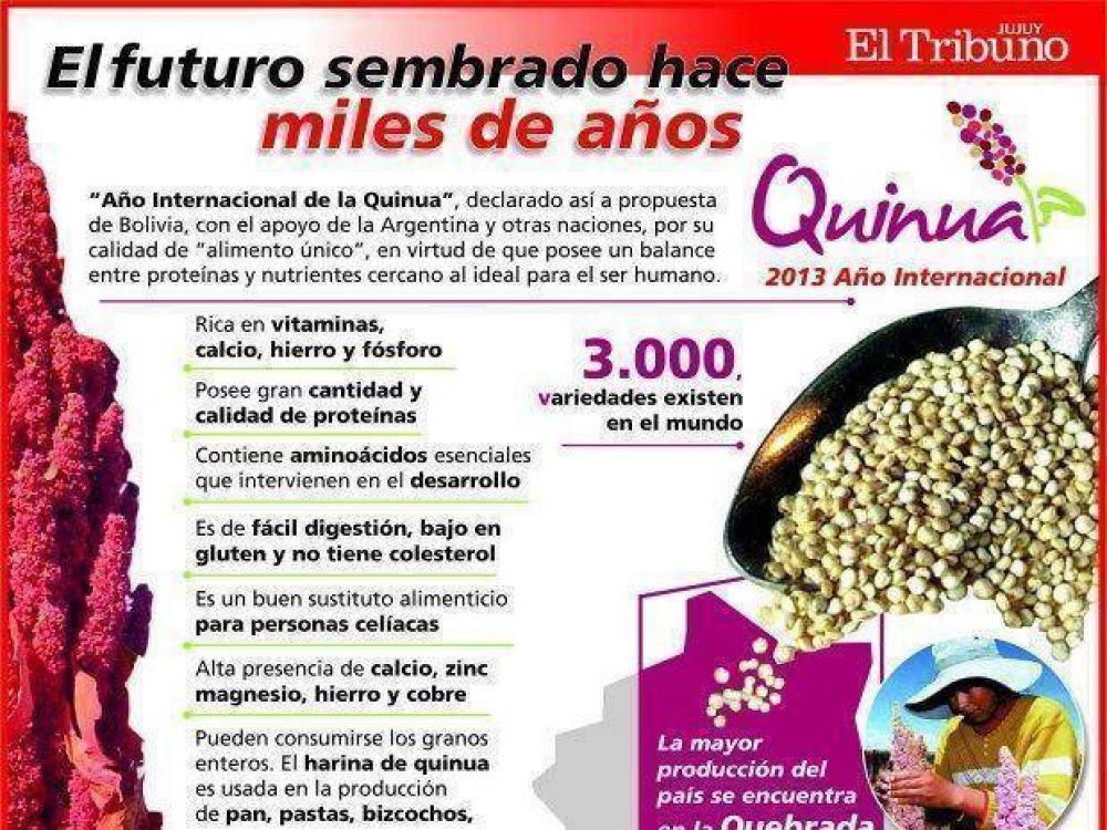 Jujuy realizar� una Expo en el a�o de la Quinua