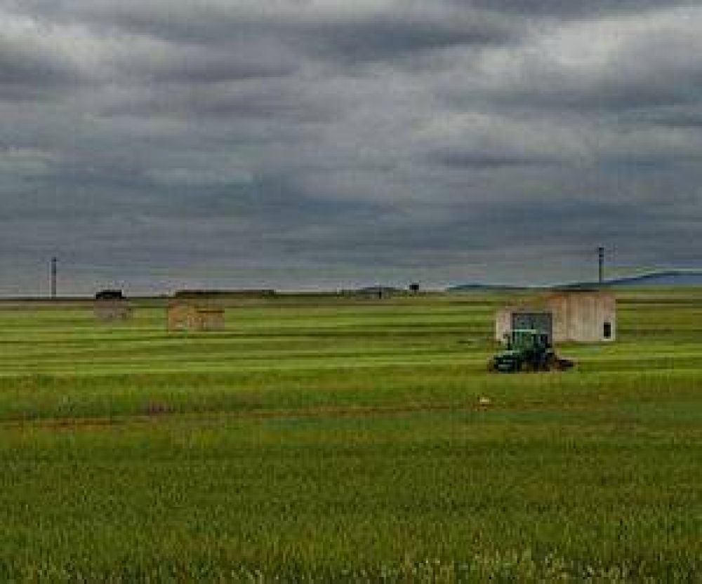 Medio Ambiente y San Luis Agua no detectaron ninguna irregularidad en los campos de Monsanto