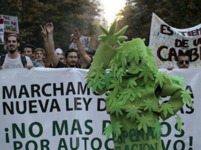 Movilizan para pedir el fin de una causa por autocultivo de marihuana