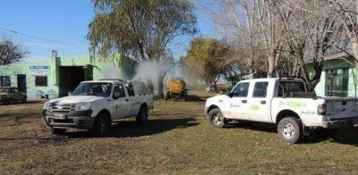 Ca�uelas: Comenzaron tareas de fumigaci�n en los barrios
