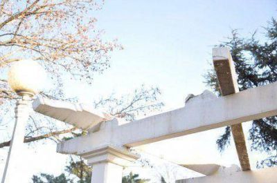 Hechos vand�licos en plazas de la ciudad