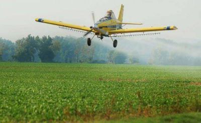 Ambientalistas, campesinos y vecinos del Valle del Conlara se manifestar�n contra Monsanto