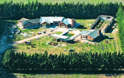 La lujosa mansi�n que los Cantero, l�deres de Los Monos, construyen en P�rez