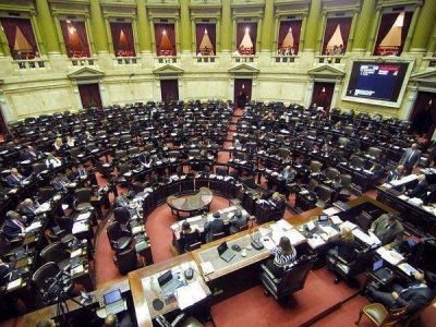 La C�mara baja convirti� en ley el proyecto de fertilizaci�n asistida