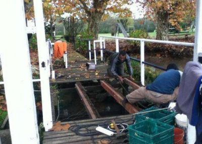 El Municipio realiza tareas sobre el R�o Sarmiento en el Delta de Tigre