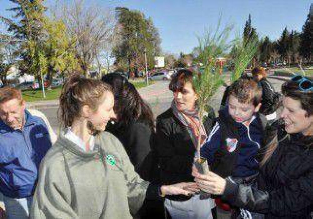 Acciones y propuestas para tomar conciencia 