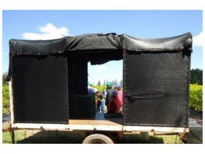 Denunciaron a productor por explotar laboralmente a tres ni�os en Chajar�
