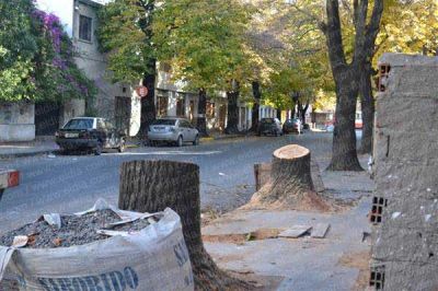 M�s talas indiscriminadas  