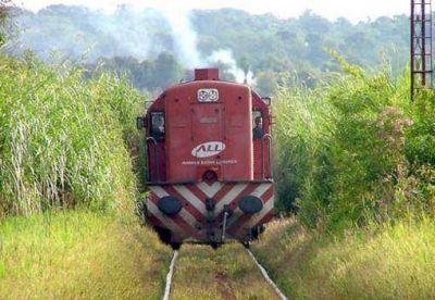 �La vuelta del tren de pasajeros es objetivo central de la estatizaci�n�