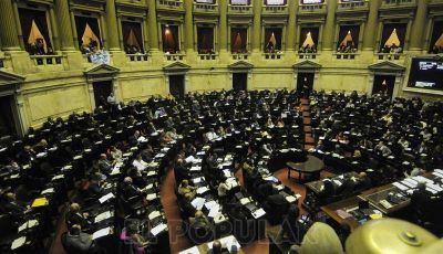 La C�mara de Diputados sancion� ley de fertilizaci�n asistida