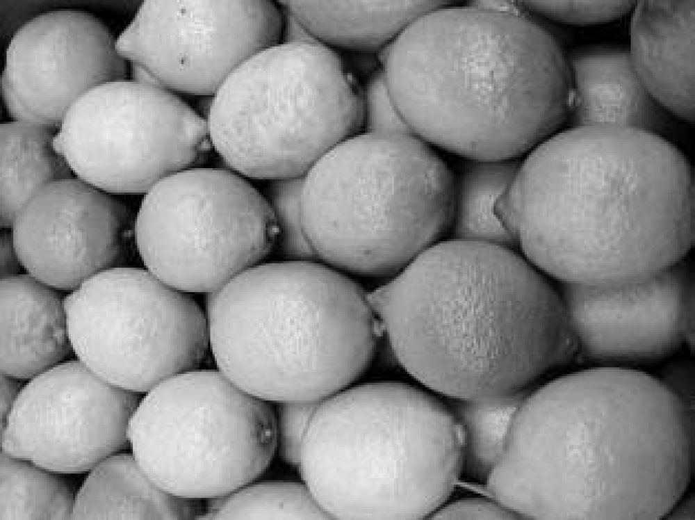 "Preocupa la detecci�n de limones que presentan un proceso de r�pido envejecimiento"