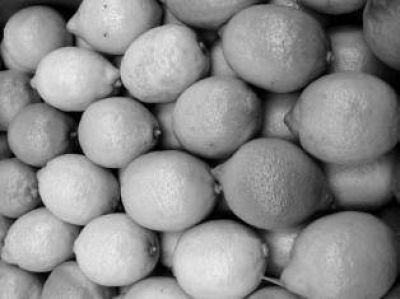 "Preocupa la detecci�n de limones que presentan un proceso de r�pido envejecimiento"