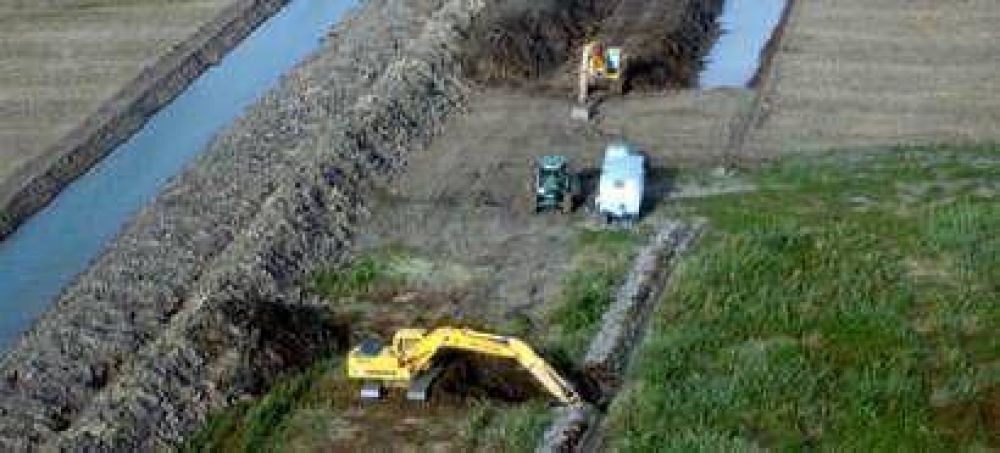 Dos amparos en la Justicia contra la siembra en islas de Victoria 