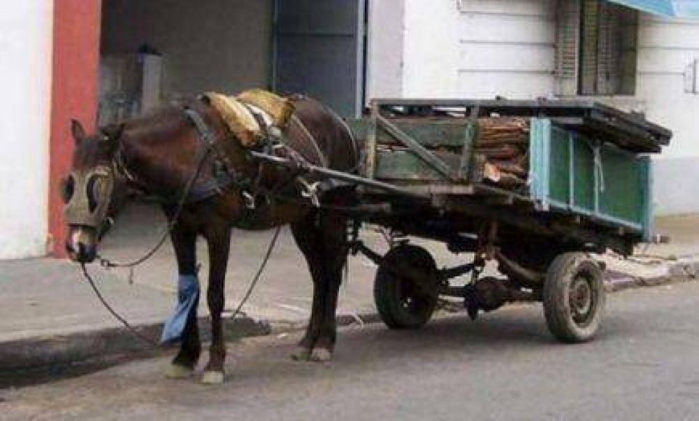 Erradicar�n la circulaci�n de veh�culos de tracci�n a sangre
