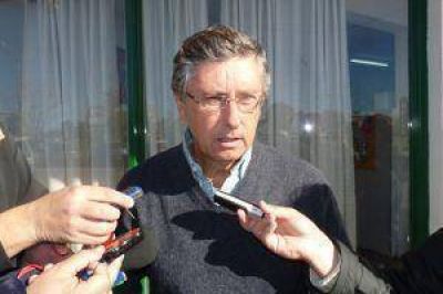 Detectaron un caso positivo de rabia en un murci�lago