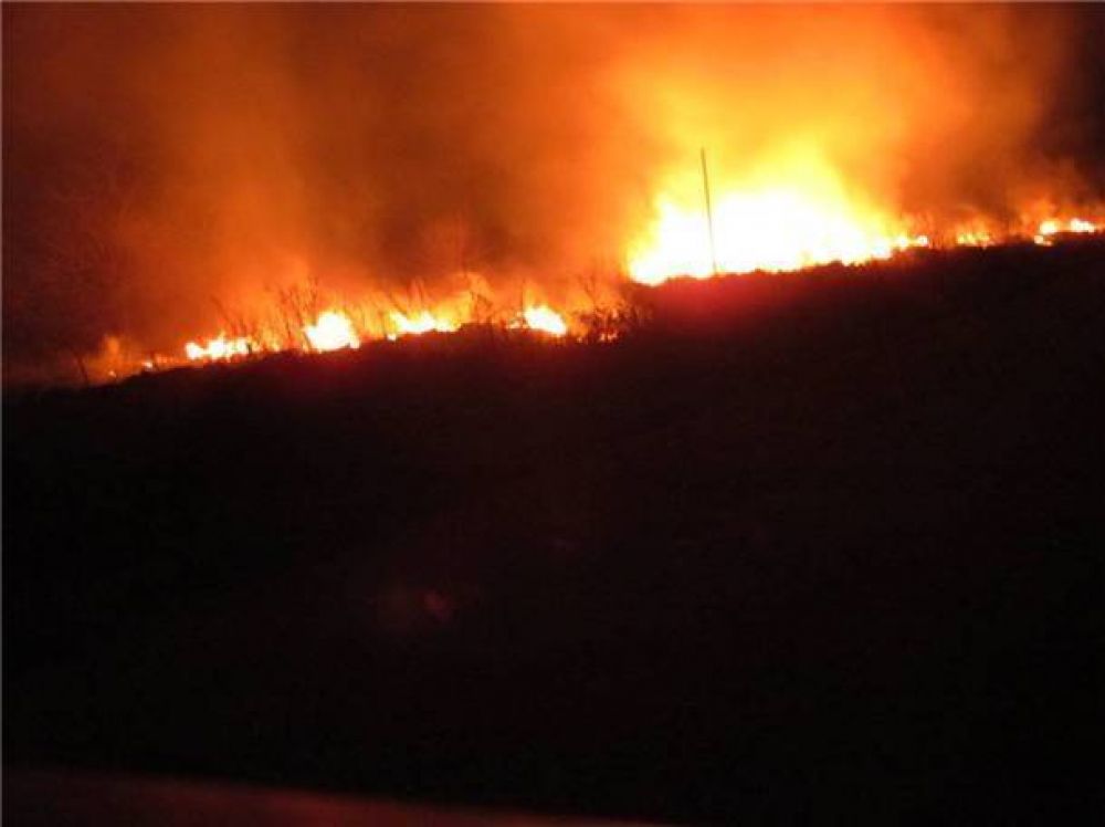 Se incendiaron pastizales en prolongaci�n 25 de Mayo