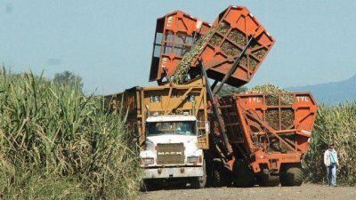 GREMIOS AZUCAREROS SOLICITARON AUMENTO DEL 28%